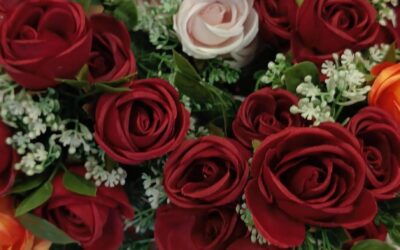 „Być kobietą, być kobietą (…)